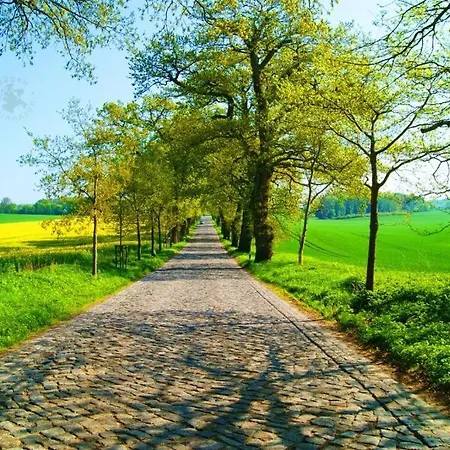 Seefisch, 1 Mit Terrasse