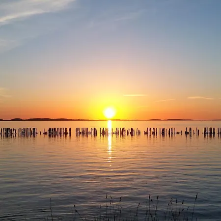 Apartman Seefisch, 1 Mit Terrasse