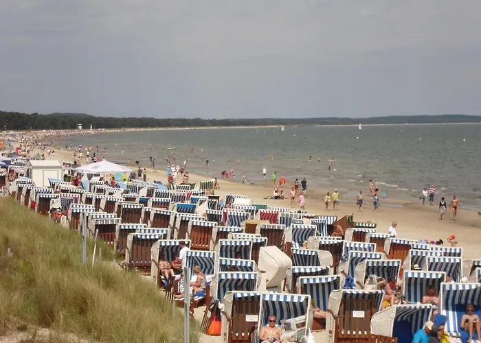 Seefisch, 1 Mit Terrasse